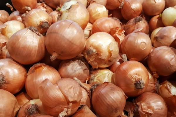 Как вывести деньги с кракена