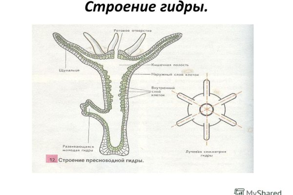 Вывести деньги с кракена